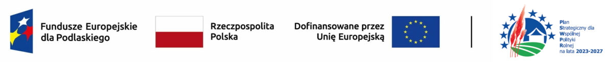 Baner z logo: Fundusze Europejskie dla Podlaskiego, Dofinansowane przez Unię Europejską