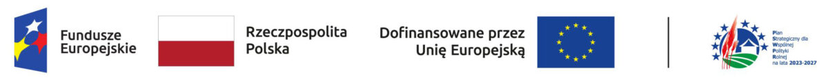 Baner logówki UE RLKS